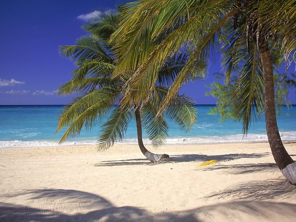 SevenMileBeachGrandCayman.jpg
