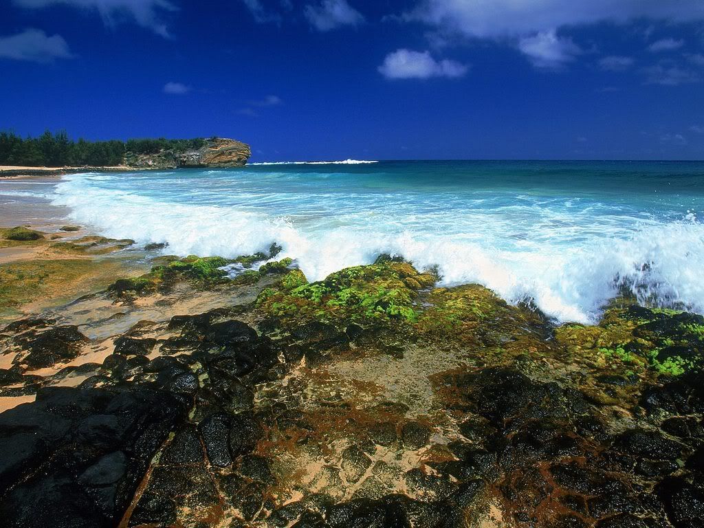 ShipwrecksBeachKauaiHawaii.jpg