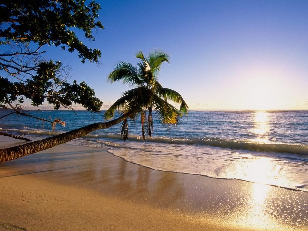 SilhouetteIsland.jpg
