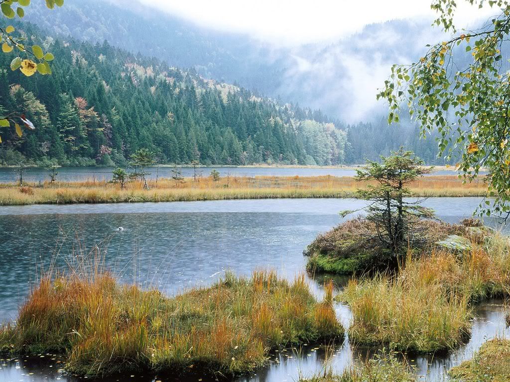 SmallArberLakeBavarianForestGermany.jpg