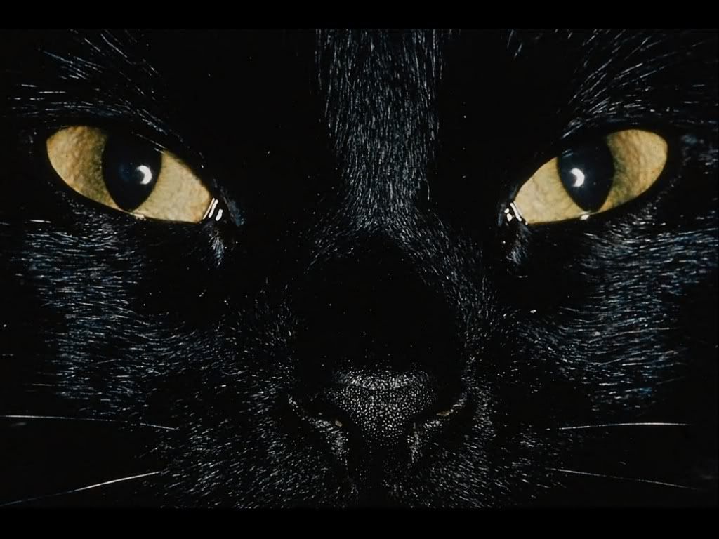Wallpaper35.jpg