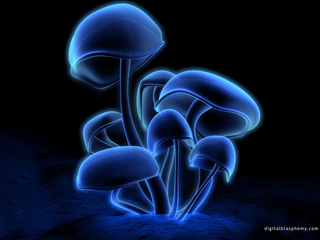 Wallpapers025.jpg