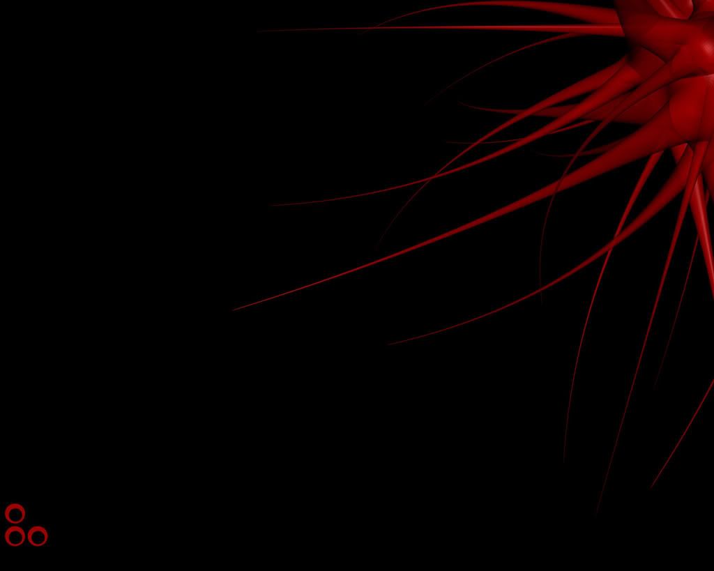 digows_black_001.jpg