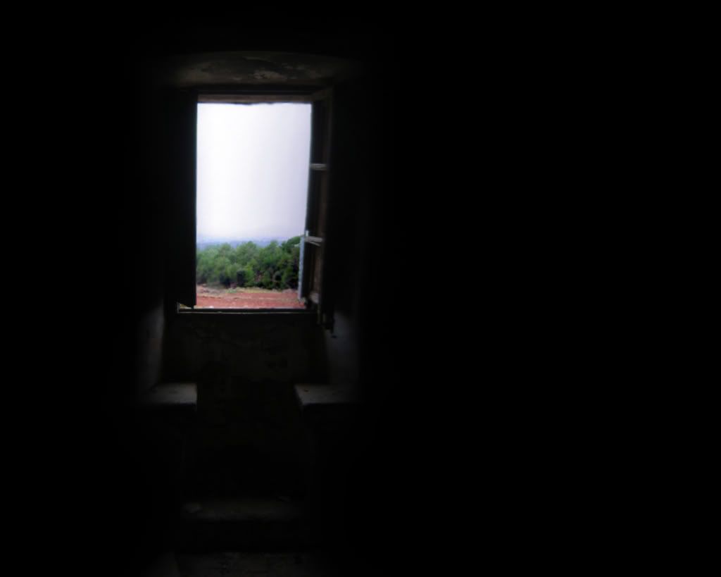 digows_black_014.jpg
