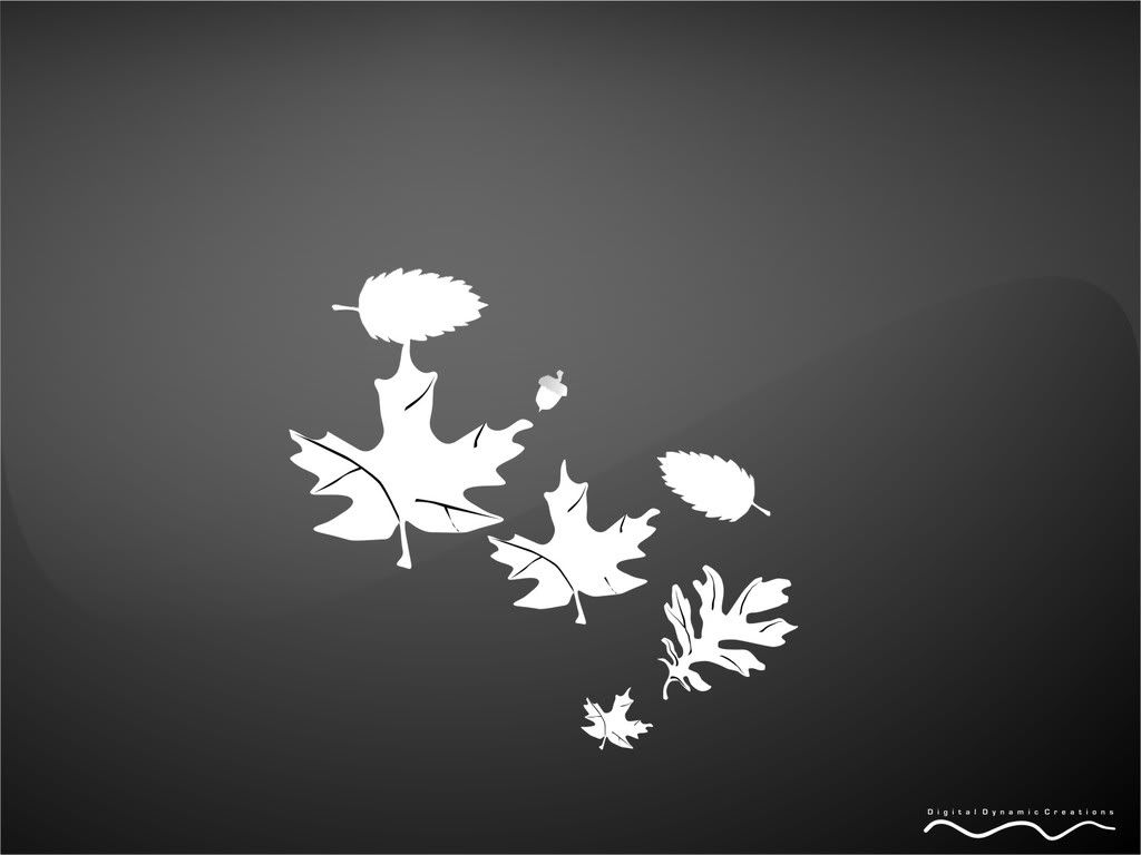 digows_black_025.jpg