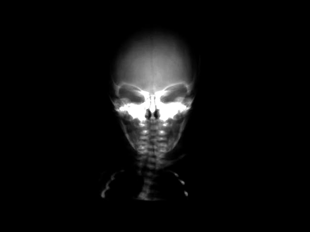 digows_black_045.jpg