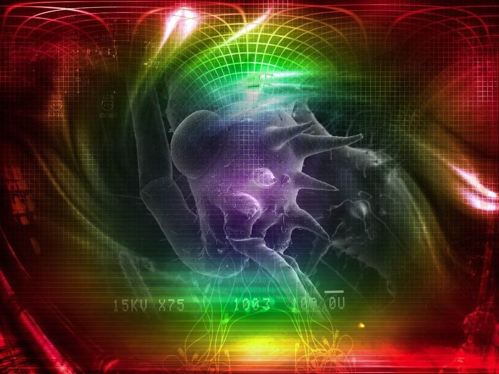 pcnet6.jpg