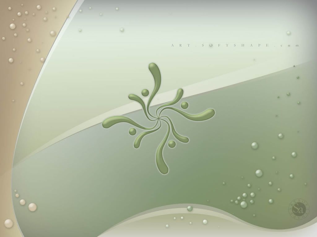 softshapeart_exp006a_1600x1200.jpg