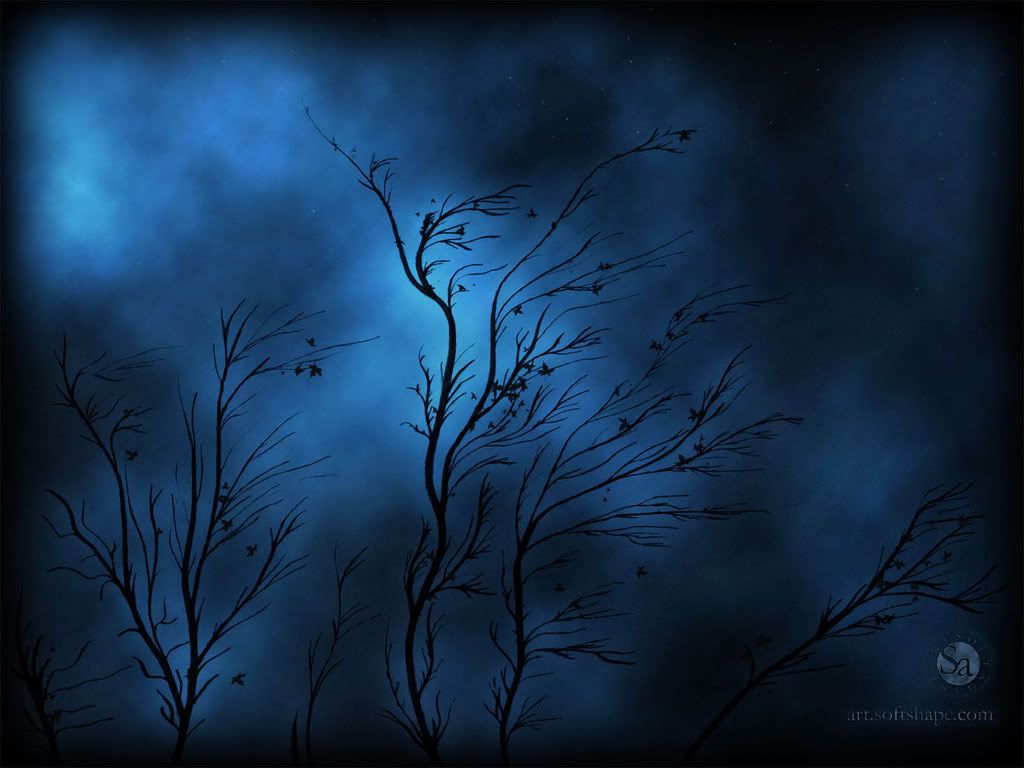 softshapeart_storm_1600x1200.jpg