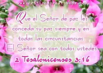 paz.jpg image by gata037