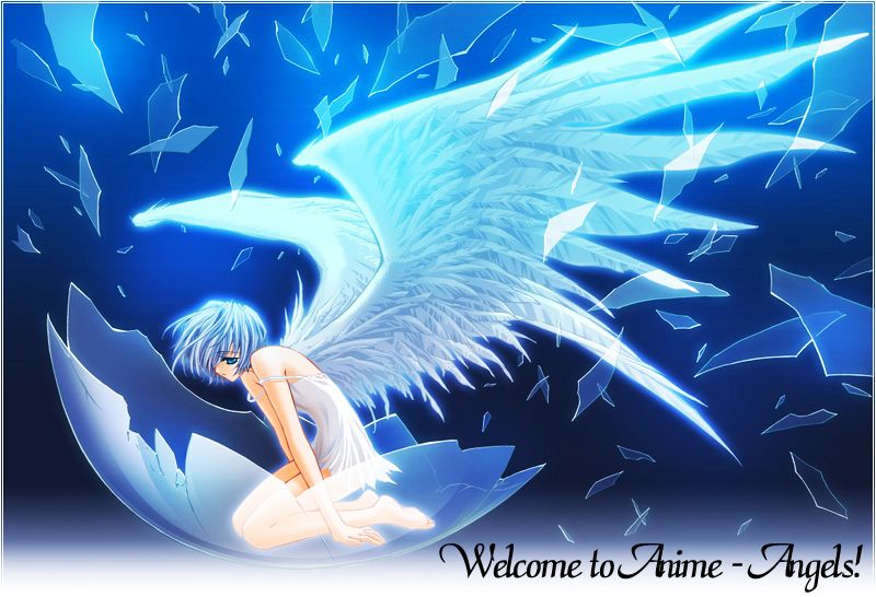 Welcome Anime Angels
