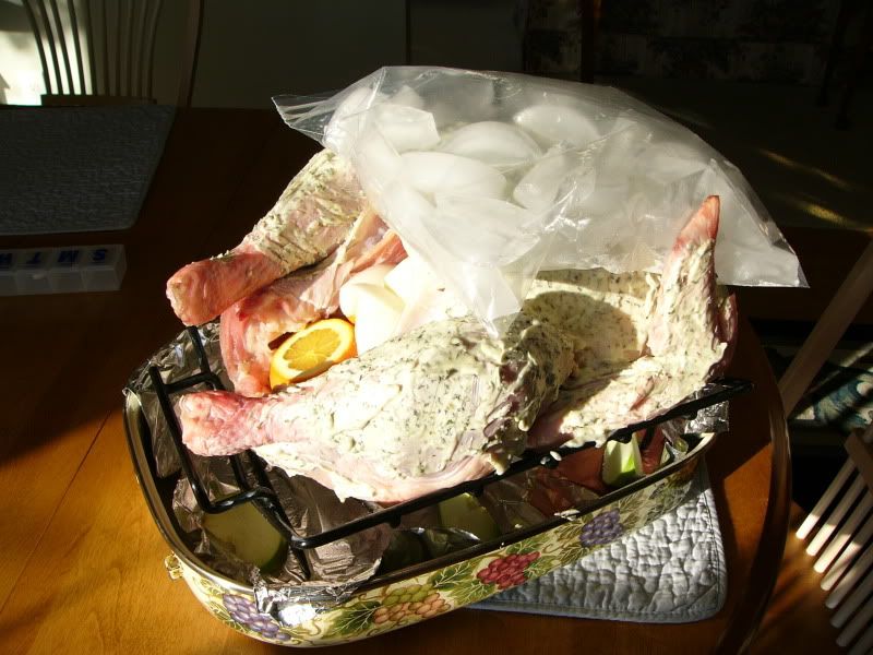 Thanksgiving2009001.jpg