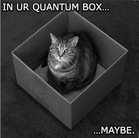 Quantum cat photo: Quantum Cat QuantumCat.jpg