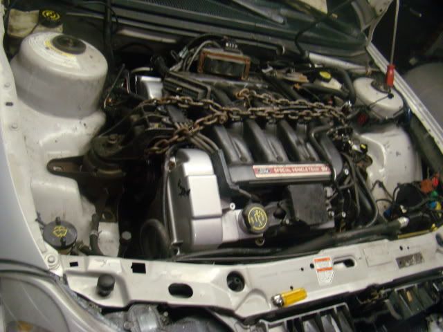 cars308.jpg