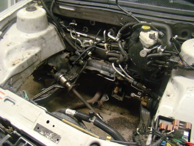 cars316.jpg