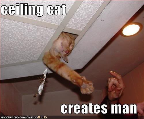 ceilingcat.jpg