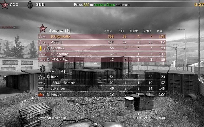 cod4_stats.jpg