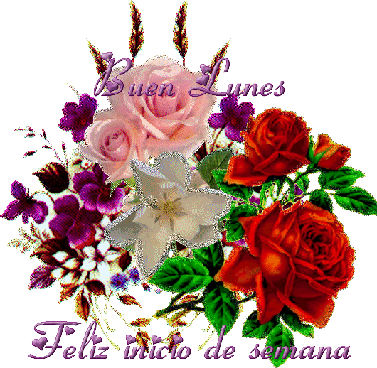 lunes333qj7.gif?t=1246277727