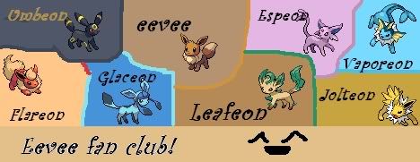 It's the Eevee fanclub!!