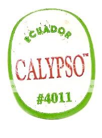 CalypsoTMEcuador4011.jpg picture by ijbananaslabel