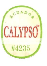 CalypsoTMEcuador4235.jpg picture by ijbananaslabel