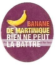 MartiniquevioletSlogan.jpg picture by ijbananaslabel