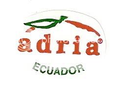 AdriaEcuador.jpg picture by ijbananaslabel
