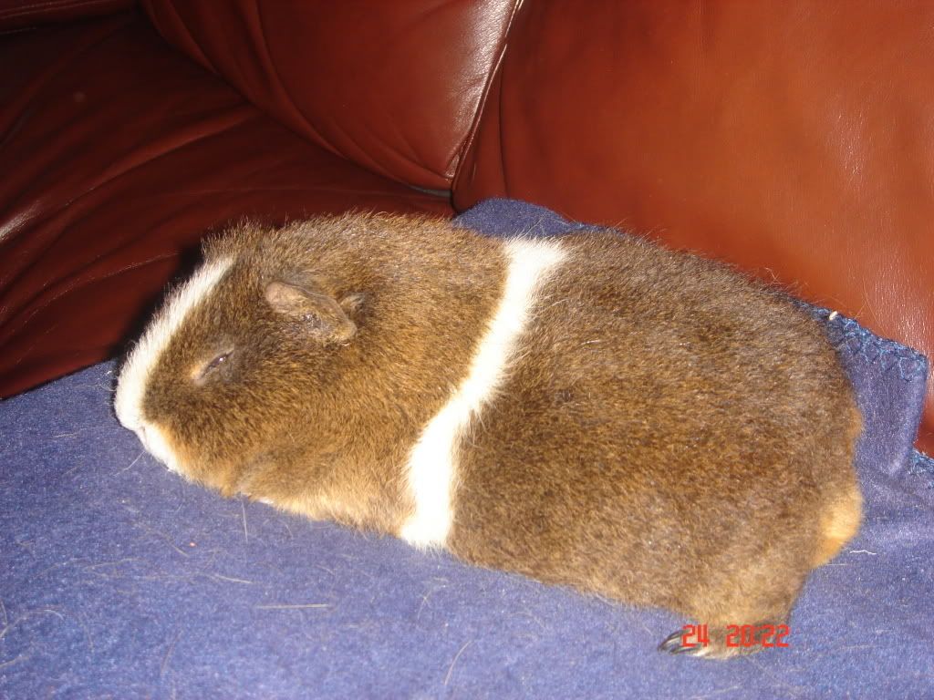 Picture001-2.jpg
