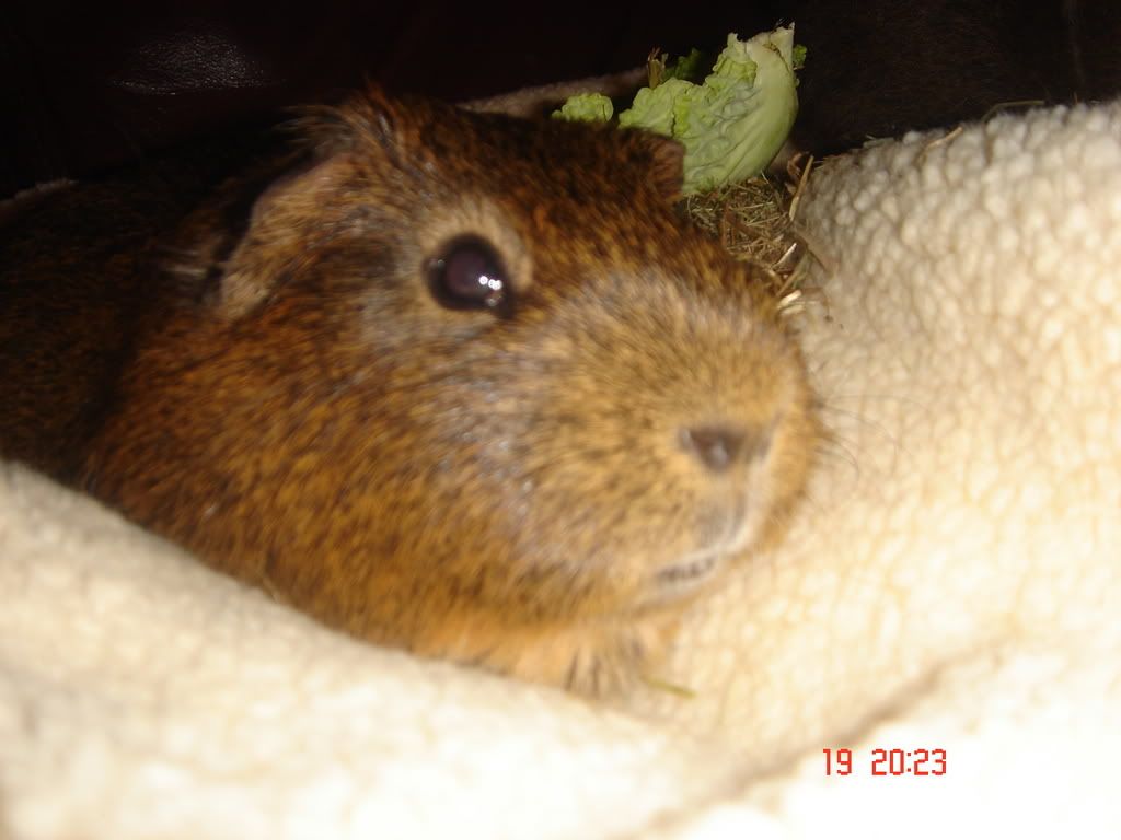 Picture008.jpg