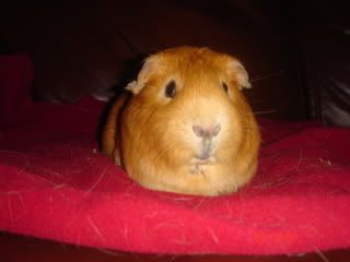 Picture016.jpg