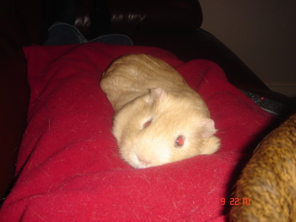 Picture041.jpg