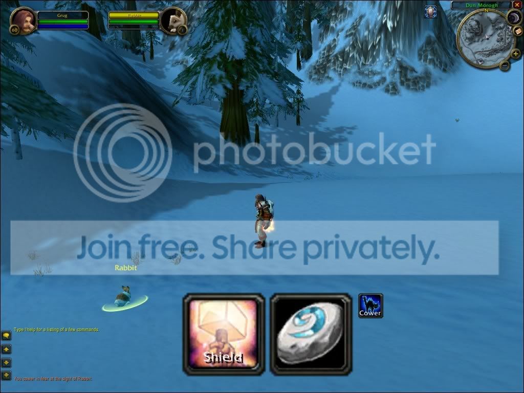 SpecialPaladinUI.jpg